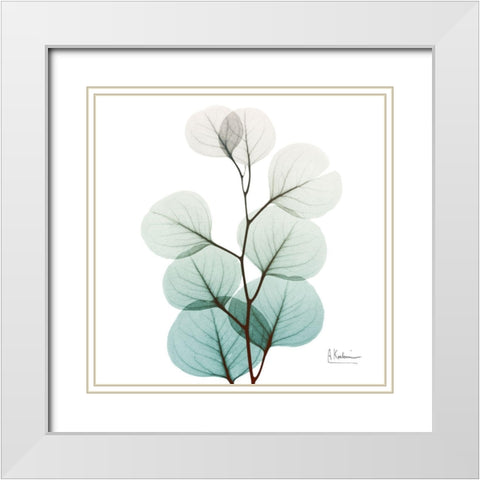 Extravagant Eucalyptus 3 White Modern Wood Framed Art Print with Double Matting by Koetsier, Albert