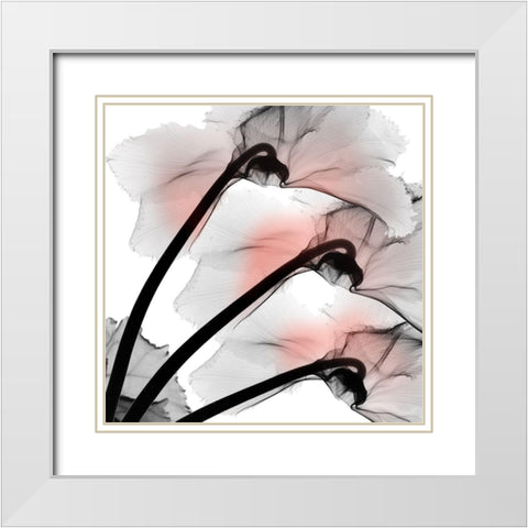 Coral Luster Cyclamen 2 White Modern Wood Framed Art Print with Double Matting by Koetsier, Albert