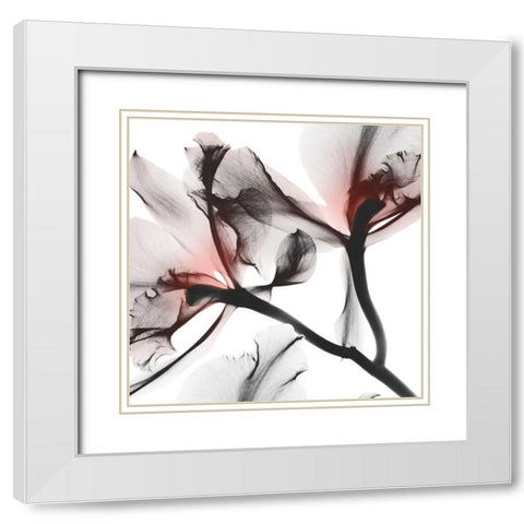 Coral Luster 2 White Modern Wood Framed Art Print with Double Matting by Koetsier, Albert