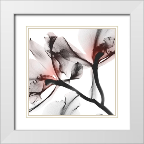 Coral Luster 2 White Modern Wood Framed Art Print with Double Matting by Koetsier, Albert