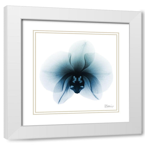 Glacial Orchid 1 White Modern Wood Framed Art Print with Double Matting by Koetsier, Albert