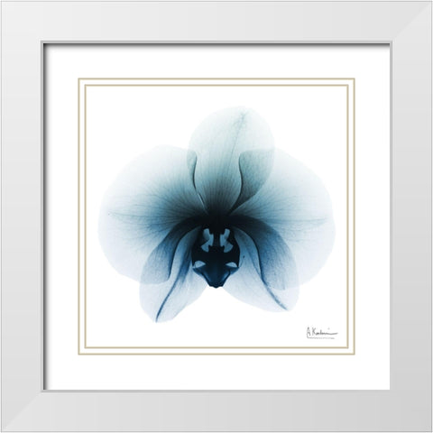 Glacial Orchid 1 White Modern Wood Framed Art Print with Double Matting by Koetsier, Albert