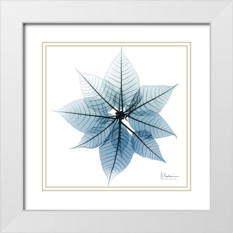 Iced Poinsettia 1 White Modern Wood Framed Art Print with Double Matting by Koetsier, Albert