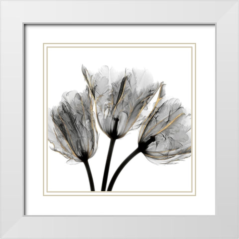 Gold Embellished Tulips 3 White Modern Wood Framed Art Print with Double Matting by Koetsier, Albert