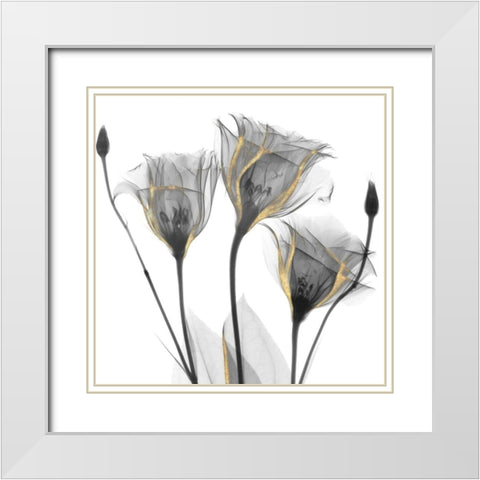 Gold Embellished Gentians 1 White Modern Wood Framed Art Print with Double Matting by Koetsier, Albert