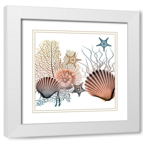 Ocean Bundles 2 White Modern Wood Framed Art Print with Double Matting by Koetsier, Albert