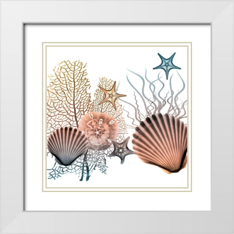 Ocean Bundles 2 White Modern Wood Framed Art Print with Double Matting by Koetsier, Albert