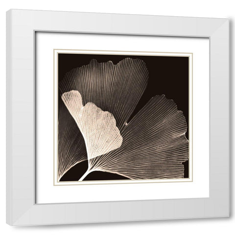 Cocoa Ginko White Modern Wood Framed Art Print with Double Matting by Koetsier, Albert