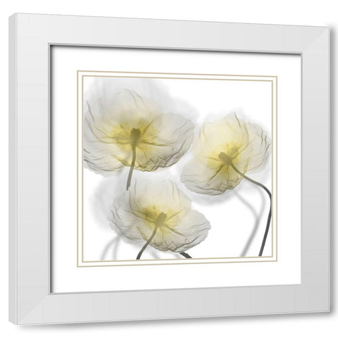 Unfocused Light 1 White Modern Wood Framed Art Print with Double Matting by Koetsier, Albert