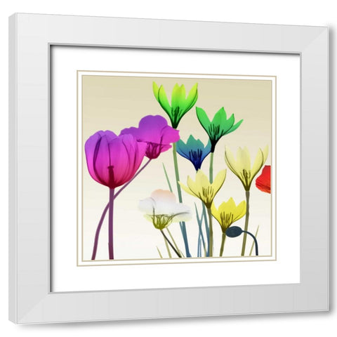 Floral Calm Pop Mate White Modern Wood Framed Art Print with Double Matting by Koetsier, Albert