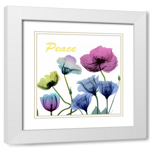 Floral Rainbow Peace White Modern Wood Framed Art Print with Double Matting by Koetsier, Albert