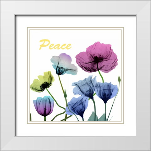 Floral Rainbow Peace White Modern Wood Framed Art Print with Double Matting by Koetsier, Albert