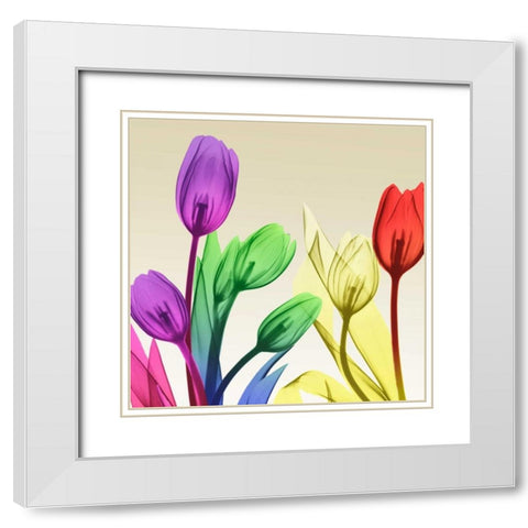 Floral Splurge 2 White Modern Wood Framed Art Print with Double Matting by Koetsier, Albert