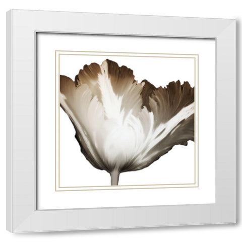 Chocolate Ascension 2 White Modern Wood Framed Art Print with Double Matting by Koetsier, Albert