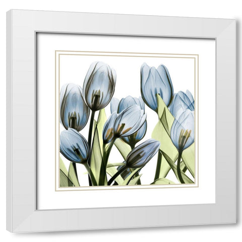 Tulip Blues 1 White Modern Wood Framed Art Print with Double Matting by Koetsier, Albert