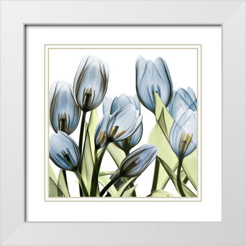 Tulip Blues 1 White Modern Wood Framed Art Print with Double Matting by Koetsier, Albert