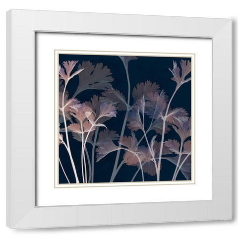 Amethyst Escape 1 White Modern Wood Framed Art Print with Double Matting by Koetsier, Albert