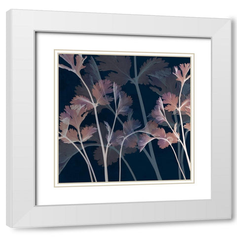 Amethyst Escape 2 White Modern Wood Framed Art Print with Double Matting by Koetsier, Albert