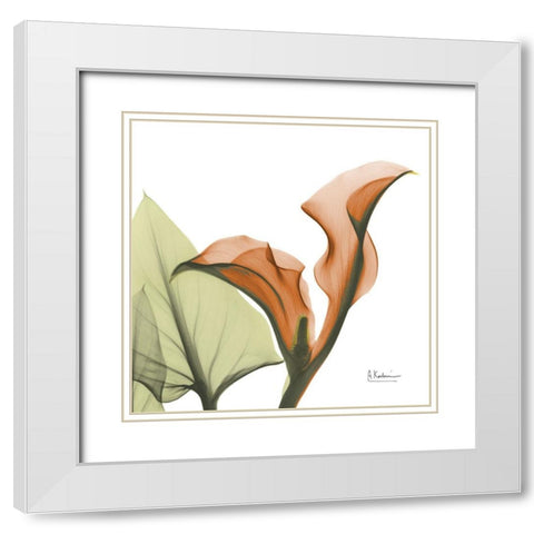 Crimson Calla L235 White Modern Wood Framed Art Print with Double Matting by Koetsier, Albert