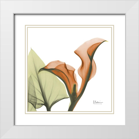 Crimson Calla L235 White Modern Wood Framed Art Print with Double Matting by Koetsier, Albert