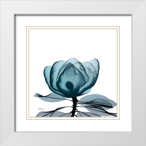 Midnight Magnolia 1 White Modern Wood Framed Art Print with Double Matting by Koetsier, Albert