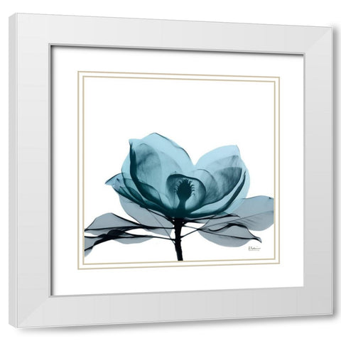 Midnight Magnolia 2 White Modern Wood Framed Art Print with Double Matting by Koetsier, Albert