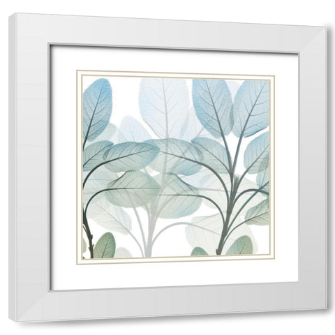 Resilient Growth 1 White Modern Wood Framed Art Print with Double Matting by Koetsier, Albert