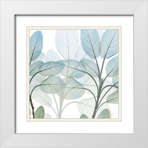 Resilient Growth 1 White Modern Wood Framed Art Print with Double Matting by Koetsier, Albert