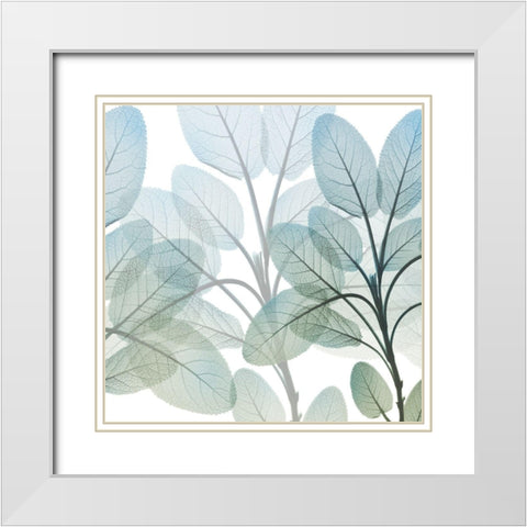 Resilient Growth 2 White Modern Wood Framed Art Print with Double Matting by Koetsier, Albert