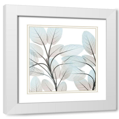 Sandy Blooms 1 White Modern Wood Framed Art Print with Double Matting by Koetsier, Albert