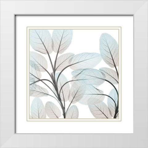 Sandy Blooms 1 White Modern Wood Framed Art Print with Double Matting by Koetsier, Albert