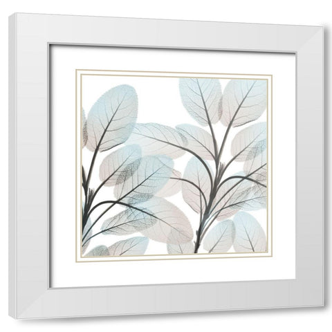 Sandy Blooms 2 White Modern Wood Framed Art Print with Double Matting by Koetsier, Albert