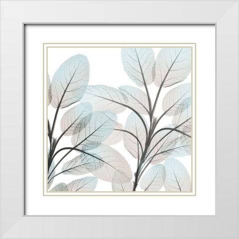 Sandy Blooms 2 White Modern Wood Framed Art Print with Double Matting by Koetsier, Albert