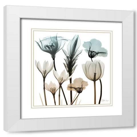 Sandy Floral Cluster 1 White Modern Wood Framed Art Print with Double Matting by Koetsier, Albert