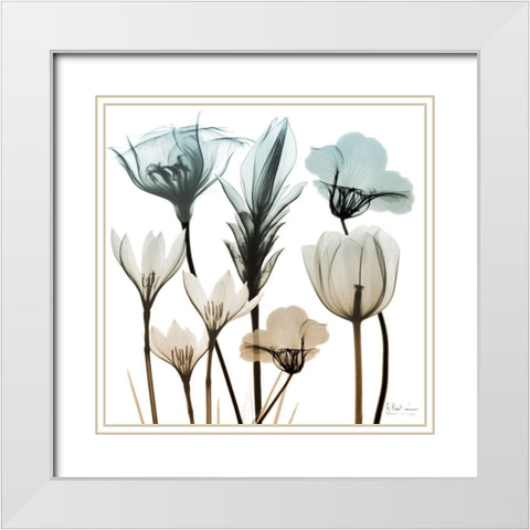 Sandy Floral Cluster 1 White Modern Wood Framed Art Print with Double Matting by Koetsier, Albert