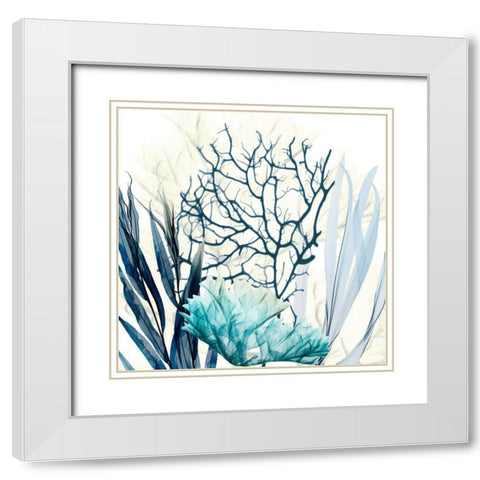 Ocean Floor Life 1 White Modern Wood Framed Art Print with Double Matting by Koetsier, Albert