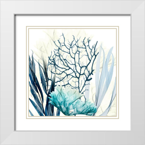 Ocean Floor Life 1 White Modern Wood Framed Art Print with Double Matting by Koetsier, Albert