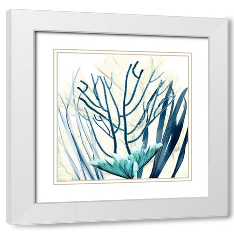 Ocean Floor Life 2 White Modern Wood Framed Art Print with Double Matting by Koetsier, Albert