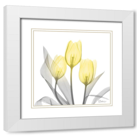 Brilliant Tulips 1 White Modern Wood Framed Art Print with Double Matting by Koetsier, Albert