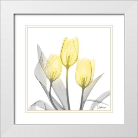 Brilliant Tulips 1 White Modern Wood Framed Art Print with Double Matting by Koetsier, Albert