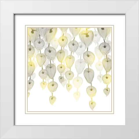 Lit Lantern Cascade 1 White Modern Wood Framed Art Print with Double Matting by Koetsier, Albert