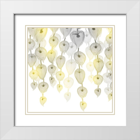 Lit Lantern Cascade 2 White Modern Wood Framed Art Print with Double Matting by Koetsier, Albert