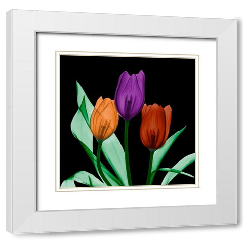 Jeweled Tulips 3 White Modern Wood Framed Art Print with Double Matting by Koetsier, Albert