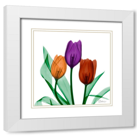 Jeweled Tulips 1 White Modern Wood Framed Art Print with Double Matting by Koetsier, Albert