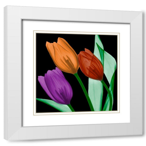 Jeweled Tulips 4 White Modern Wood Framed Art Print with Double Matting by Koetsier, Albert
