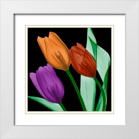 Jeweled Tulips 4 White Modern Wood Framed Art Print with Double Matting by Koetsier, Albert