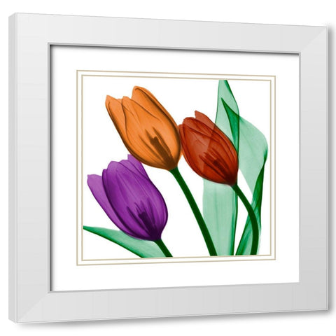 Jeweled Tulips 2 White Modern Wood Framed Art Print with Double Matting by Koetsier, Albert