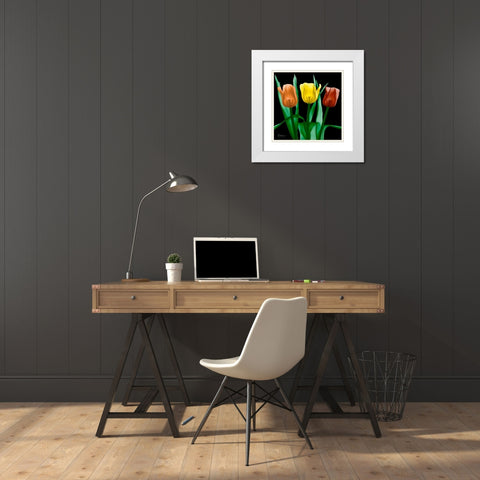 Jewel Embellished Tulips 4 White Modern Wood Framed Art Print with Double Matting by Koetsier, Albert