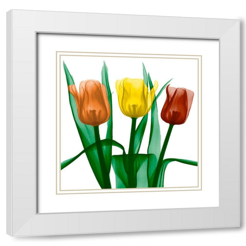 Jewel Embellished Tulips 2 White Modern Wood Framed Art Print with Double Matting by Koetsier, Albert