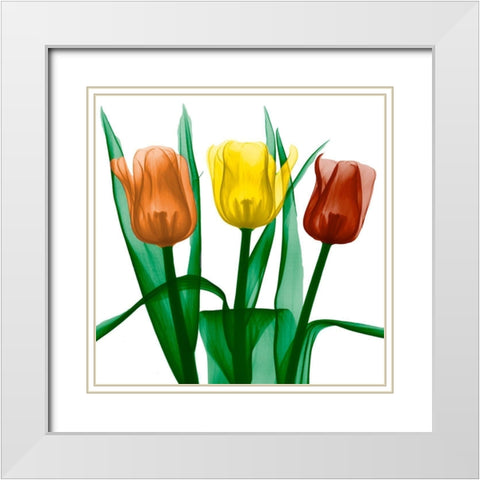 Jewel Embellished Tulips 2 White Modern Wood Framed Art Print with Double Matting by Koetsier, Albert